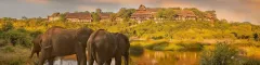 Victoria Falls Safari Lodge banner 23 06 23