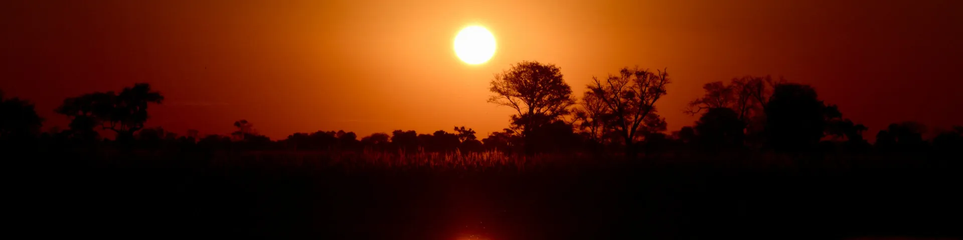 Banner Tours Safaris to Okavango Delta Botswana Jose Mizrahi