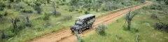 Banner Tours Safaris to Ongava Game Reserve Namibia Ongava Lodge