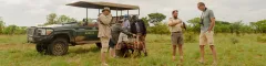 Banner About Wild Wings Safaris 1