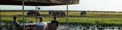 Chobe Game Lodge River Safari Elephant- banner