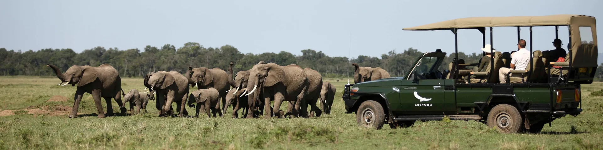 Elephant Sighting on 7 Day Kenyan Adventure Tour